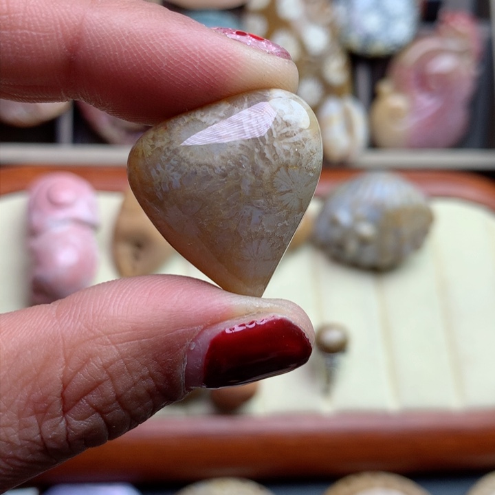 硅化珊瑚（珊瑚玉）颈饰未镶嵌