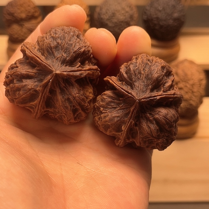 文玩核桃把件木芙蓉三棱