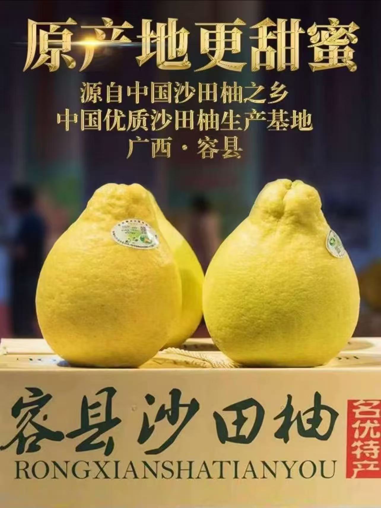 正宗广西容县沙田柚