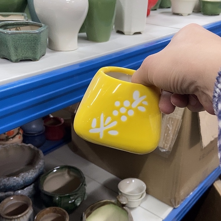 花盆单场满9.9发货6×7