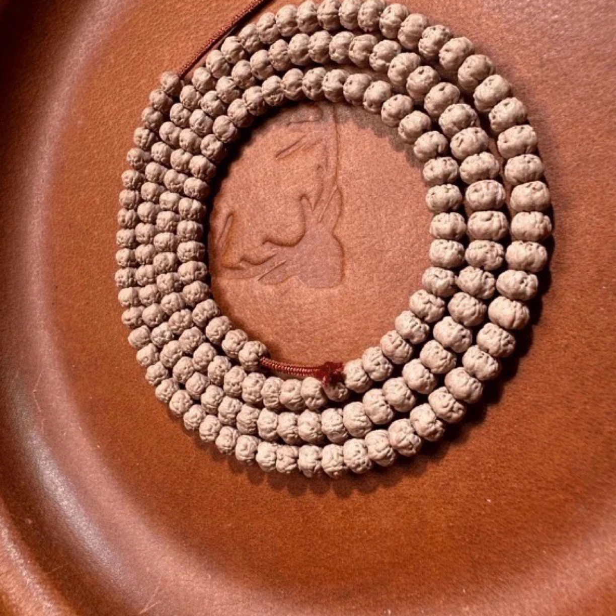 【原桩佛手108】小金刚菩提毕业