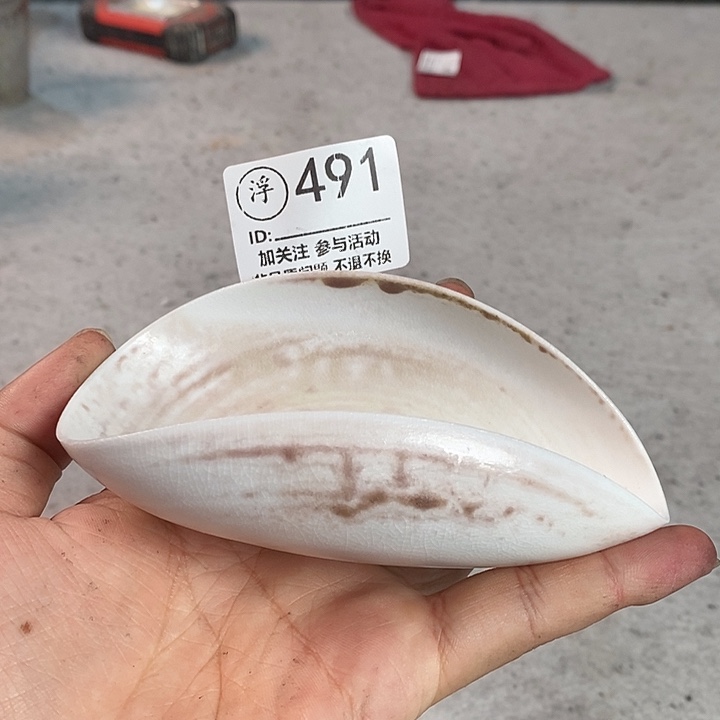 千年火上新了千年火上新了
