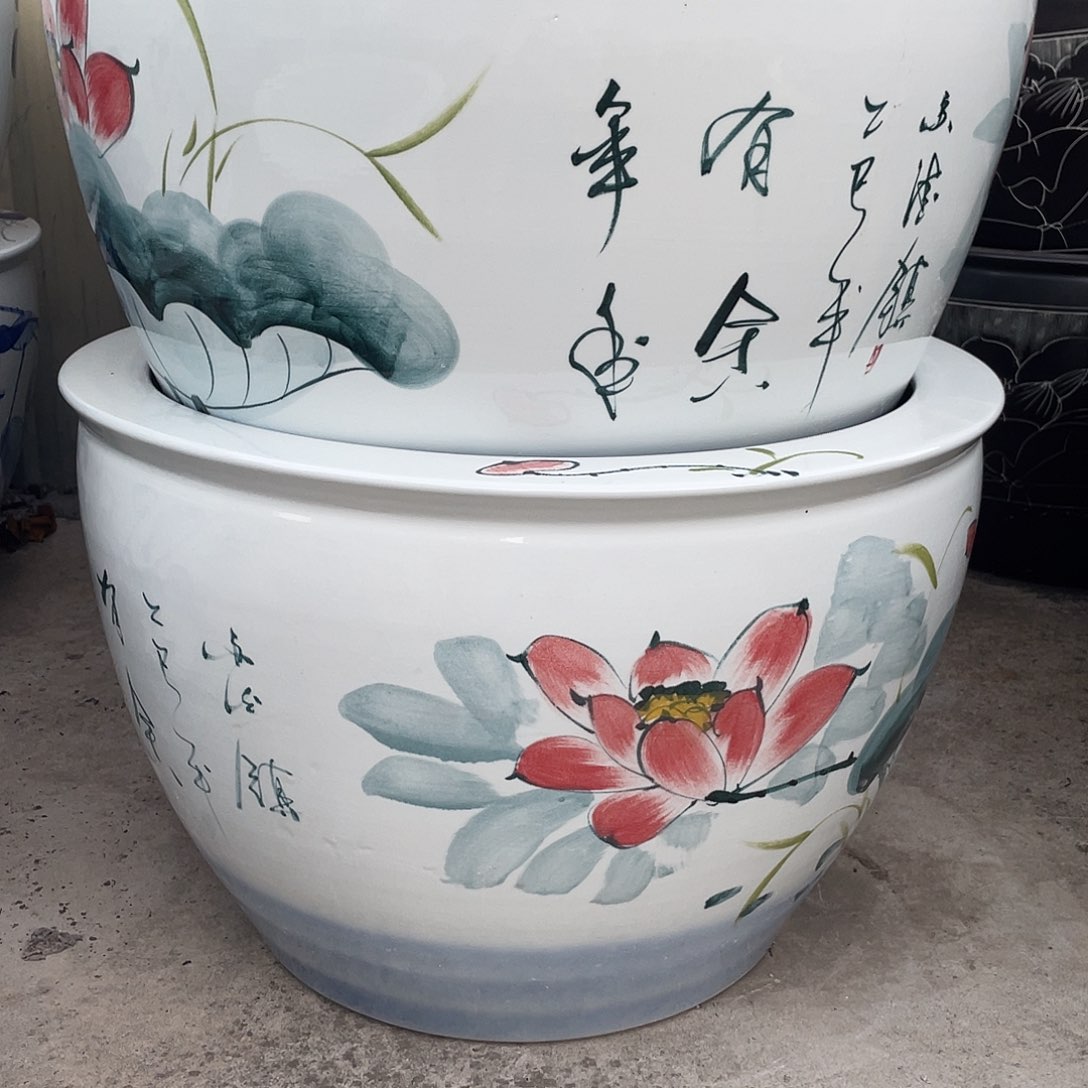 缸年莲有鱼77✖️52瓷瓷