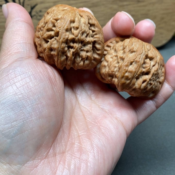橄榄核手串/手链福利 狮子