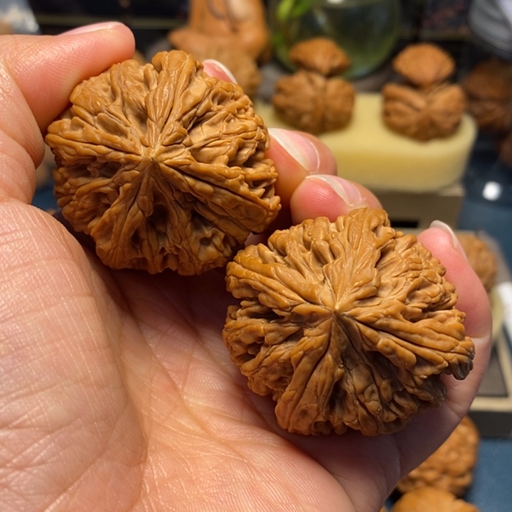 【闪购商品】把件文玩核桃九龙筋四棱