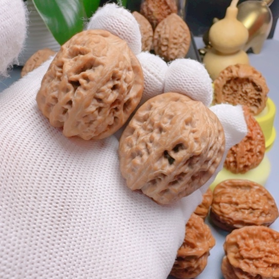 核桃33尺西北将军榜