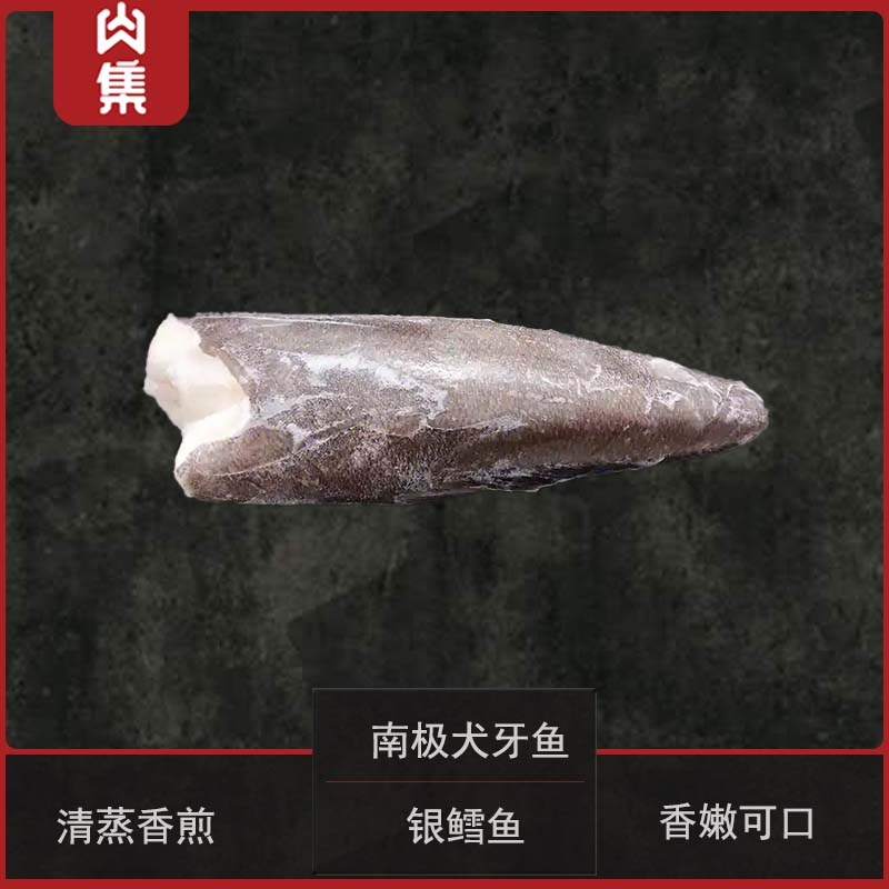 【银鳕鱼】整条称重深海正宗南极犬牙鱼DHA冷冻宝宝鳕鱼辅食