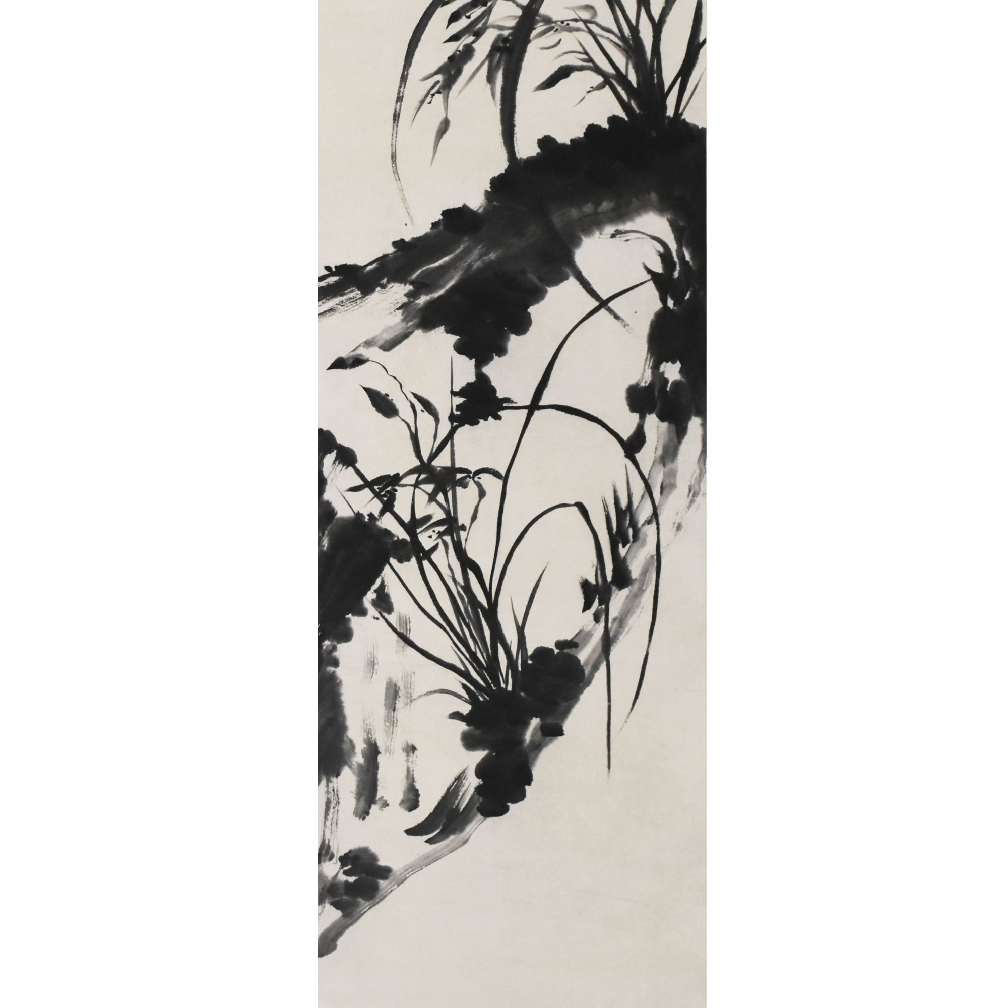 HM5156 兰石图 133×31 纸本立轴 3.7平尺
