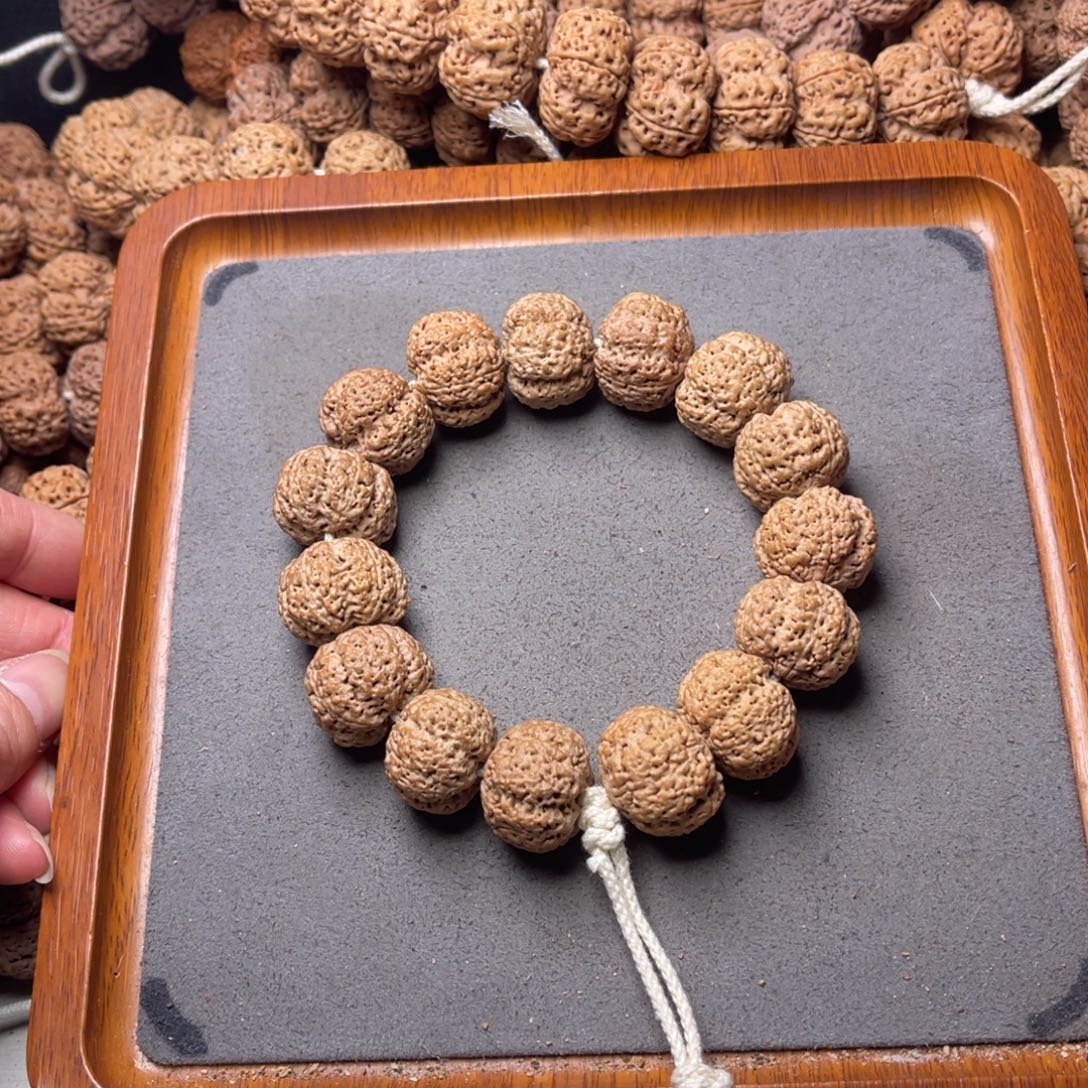 菩提籽类13号金刚菩提菠萝蜜21