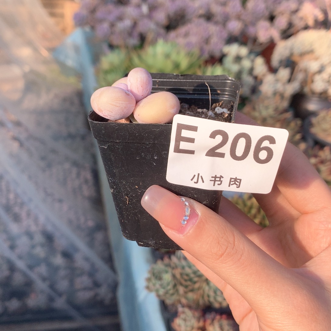 水光针水光针哈哈哈哈