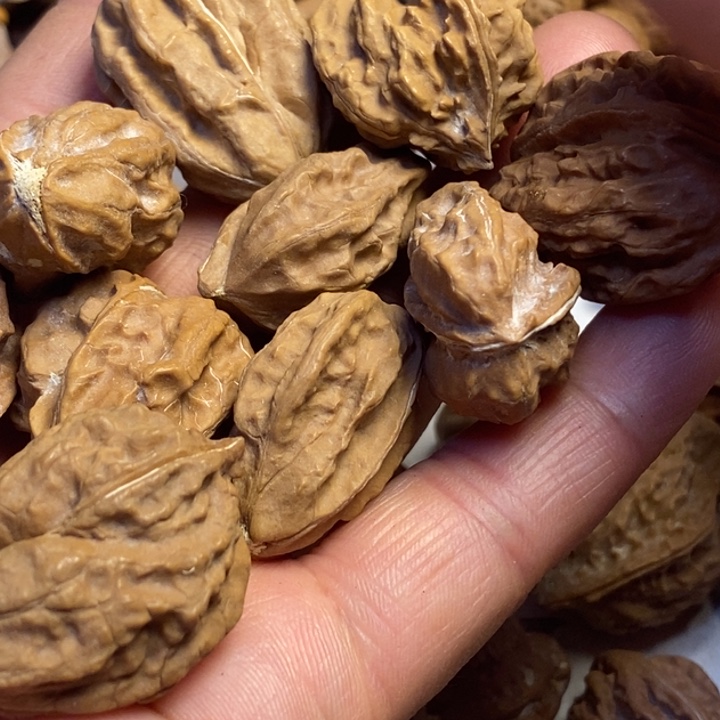 吊坠文玩核桃东北特产22