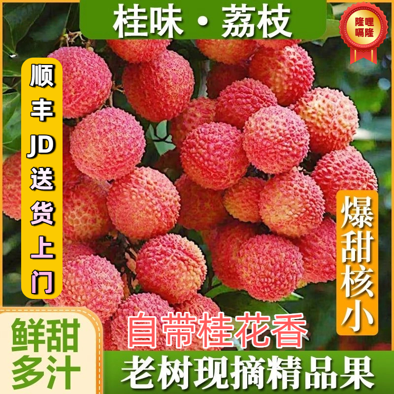 【顺丰/JD送货上门】桂味荔枝肉厚新鲜当季水果现摘现发