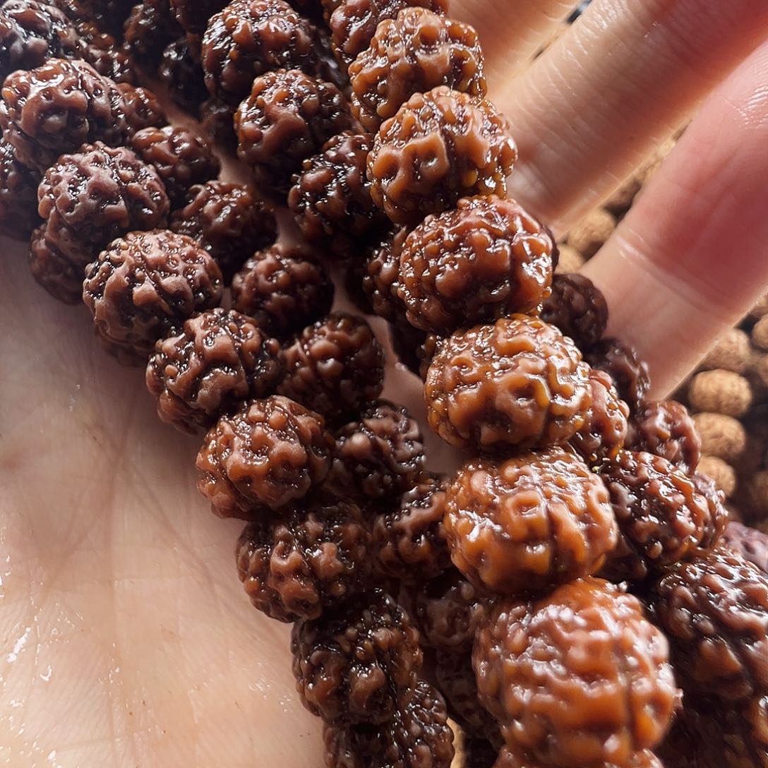 执***-吊坠金刚菩提矮桩粗筋9m两条