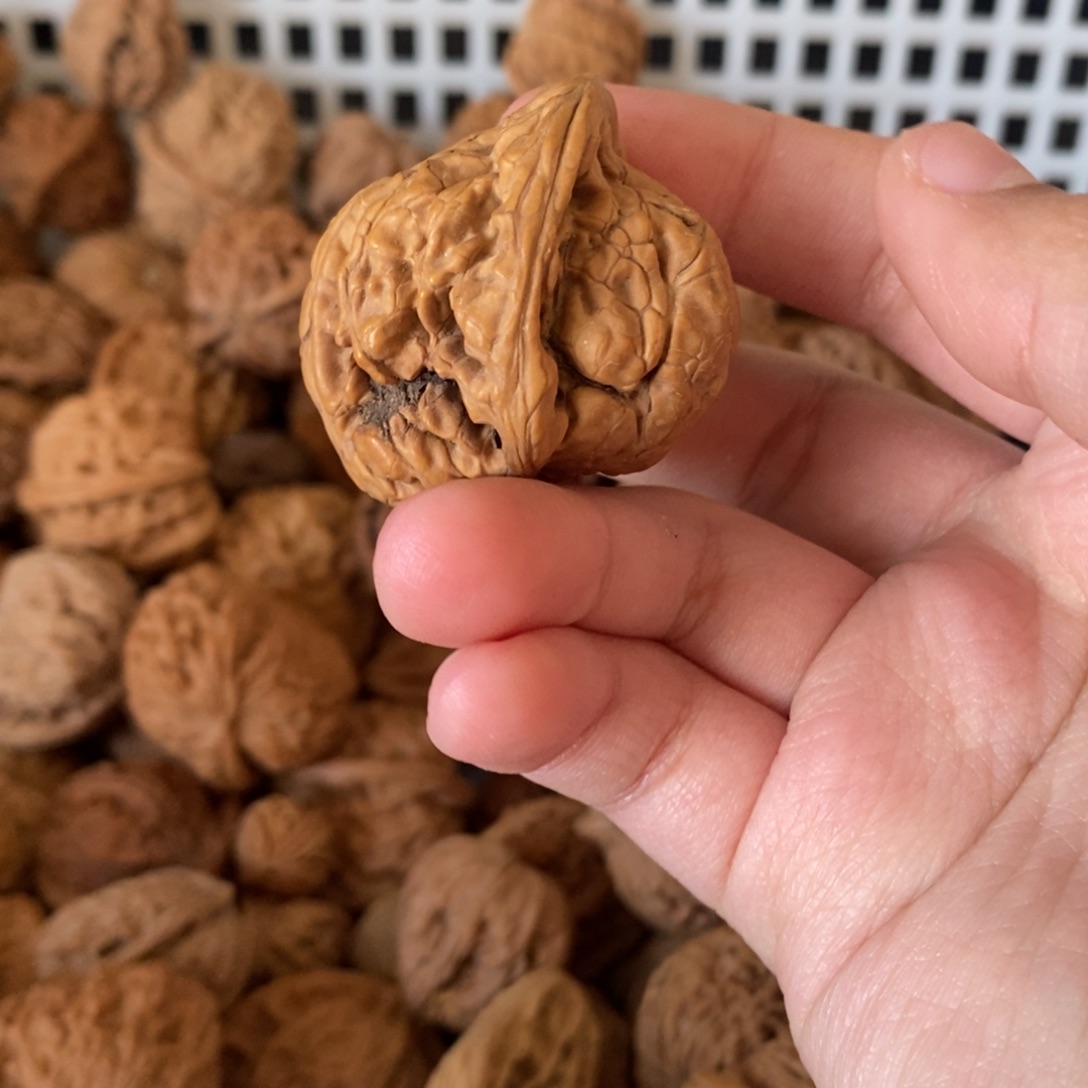 天***长文玩核桃吊坠文玩