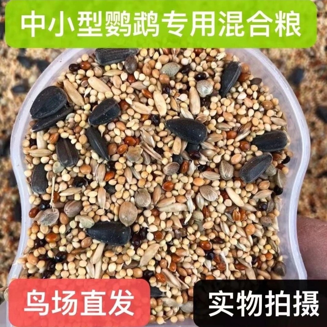牡丹鹦鹉混合粮  种子粮