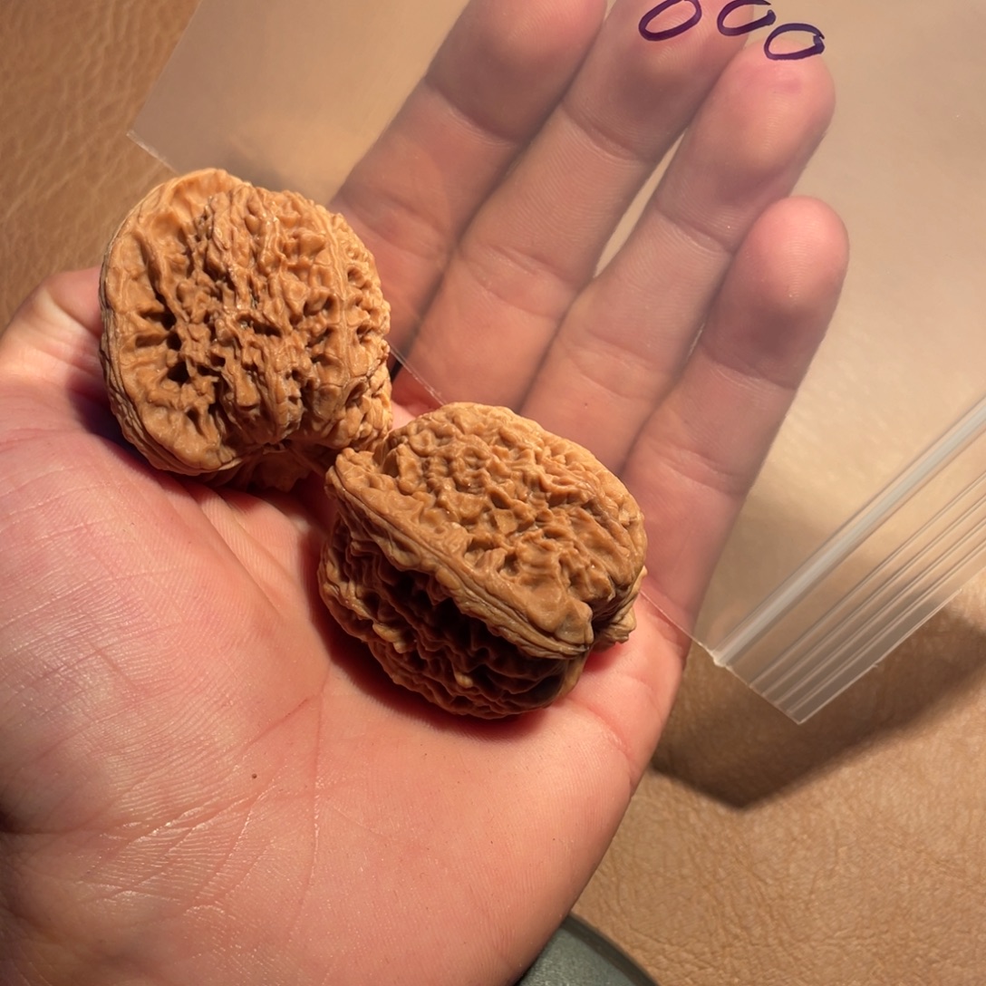 C***C核桃手串/手链0600