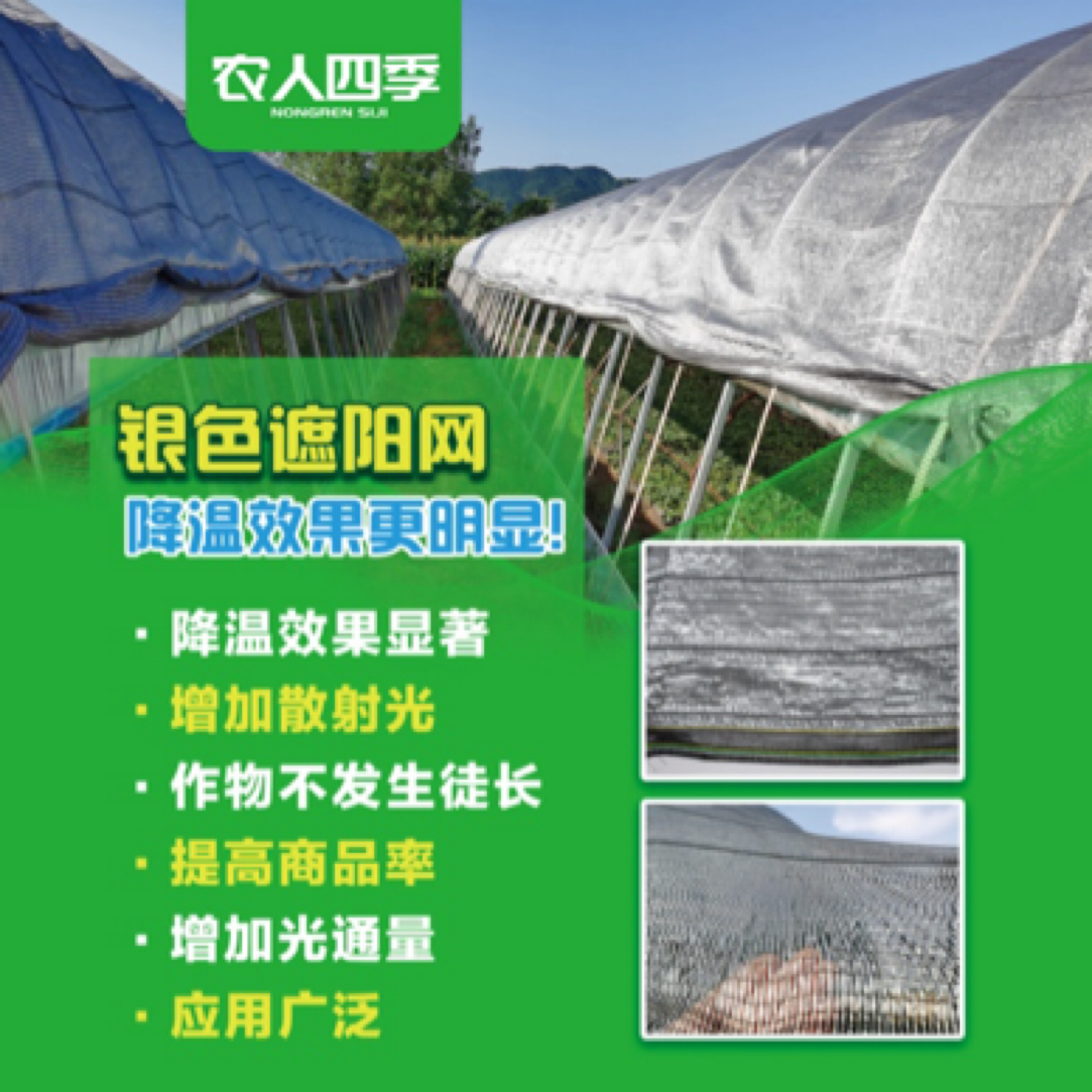 草莓育苗大棚专用银色遮阳网遮光率60-65%防老化保用三年
