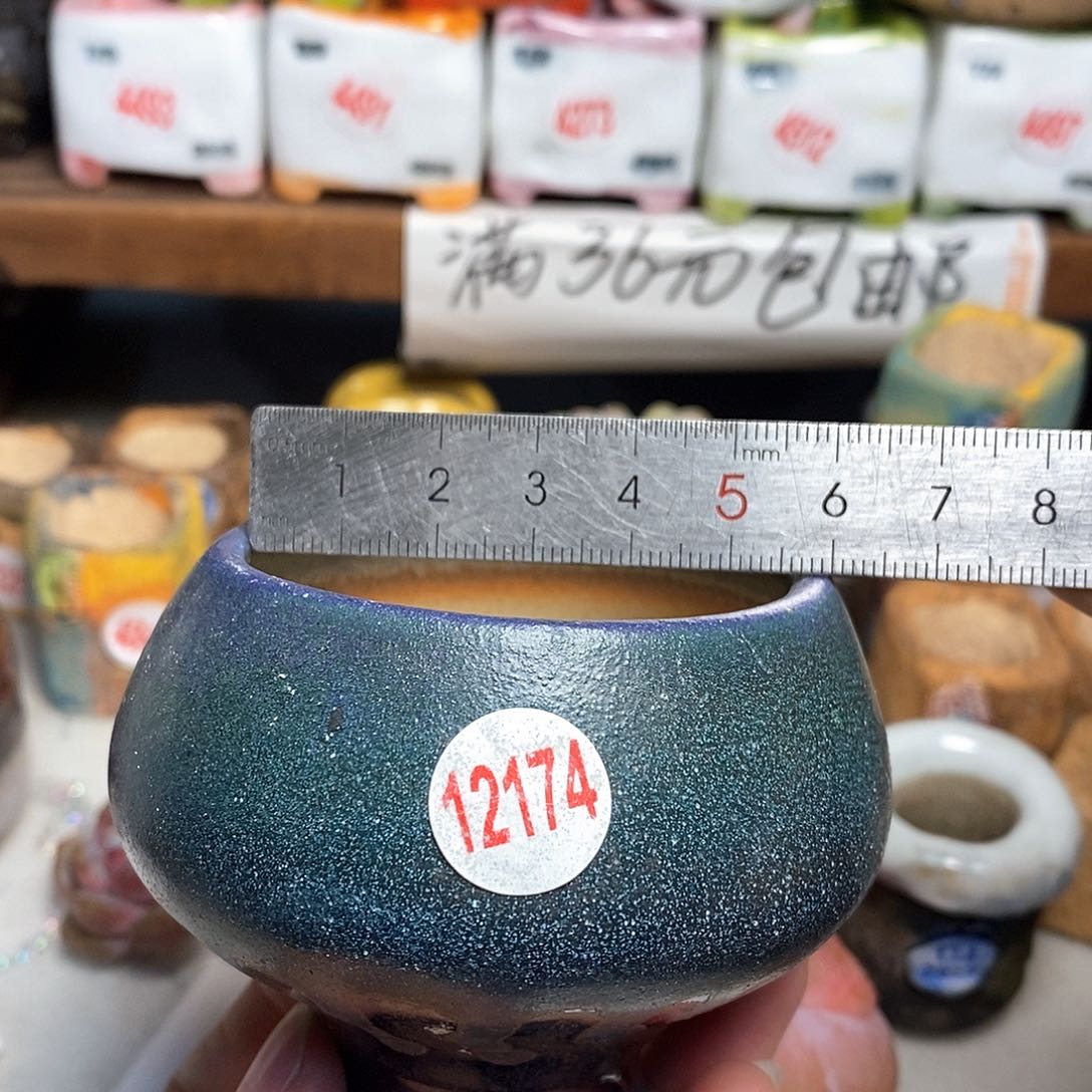 红陶拍5送一个小