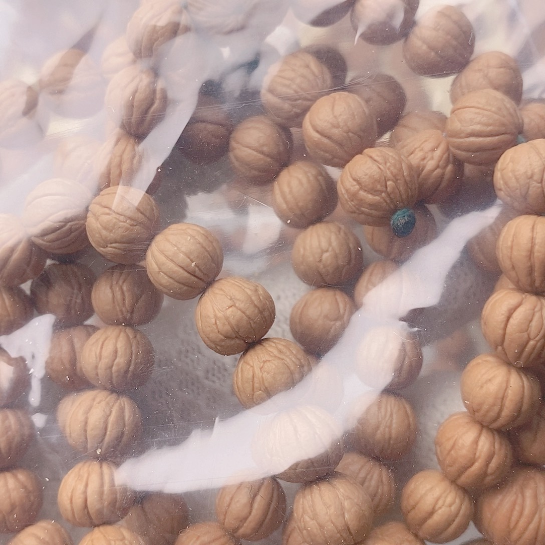 没***获核桃铁籽…………………………