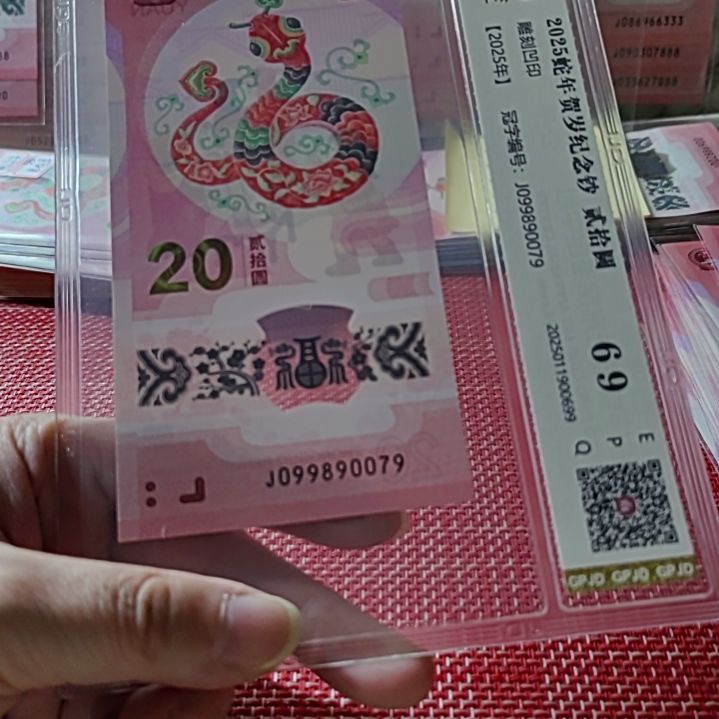 塑料小蛇钞金钩王蛇四99890079评级