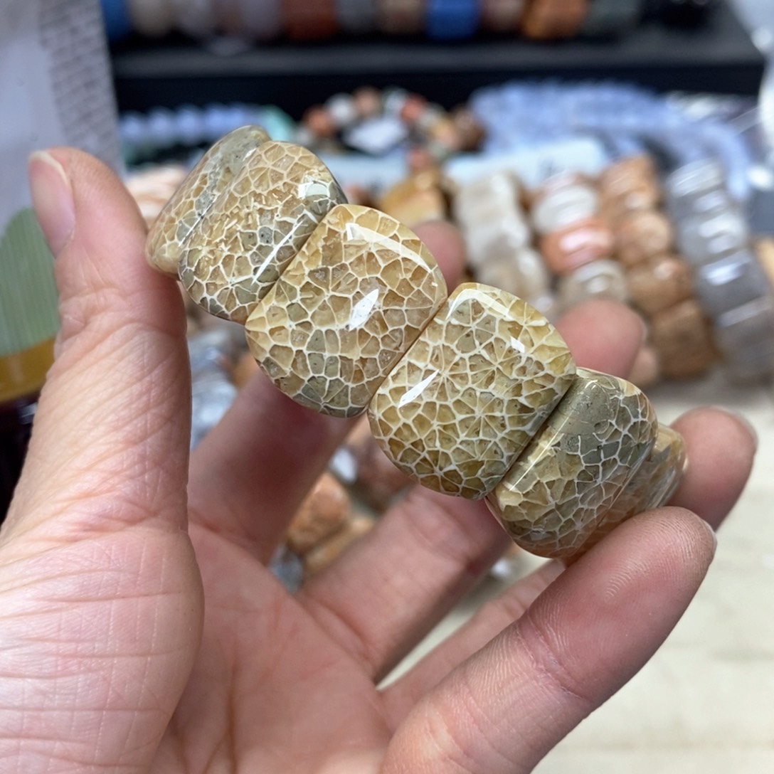 硅化珊瑚（珊瑚玉）手链未镶嵌我***肉173