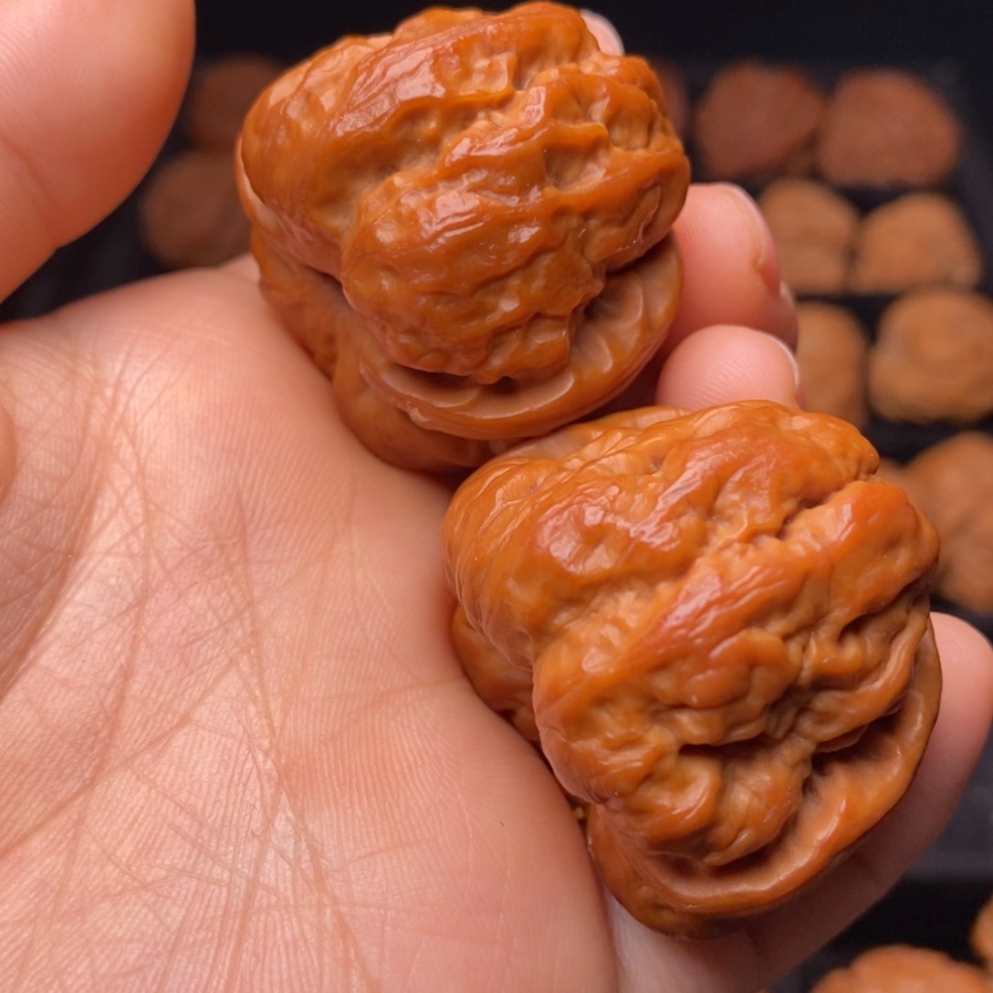 文玩核桃把件秦岭野生核桃