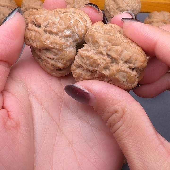 观***像38尺蛤蟆头一对精品