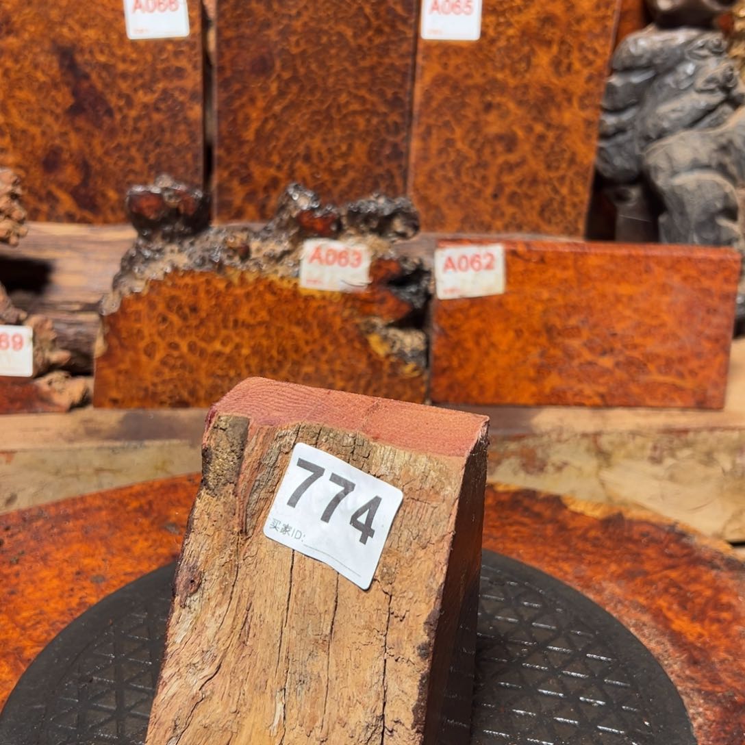 大果紫檀（缅甸花梨）