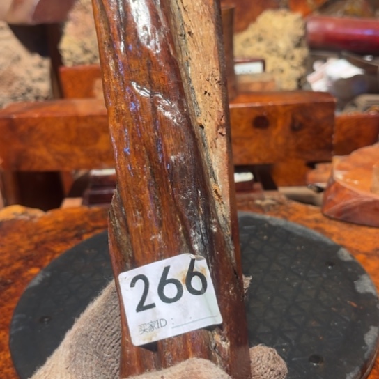 大果紫檀（缅甸花梨）