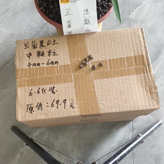 且***人兰菌颗粒  中颗粒6.6斤