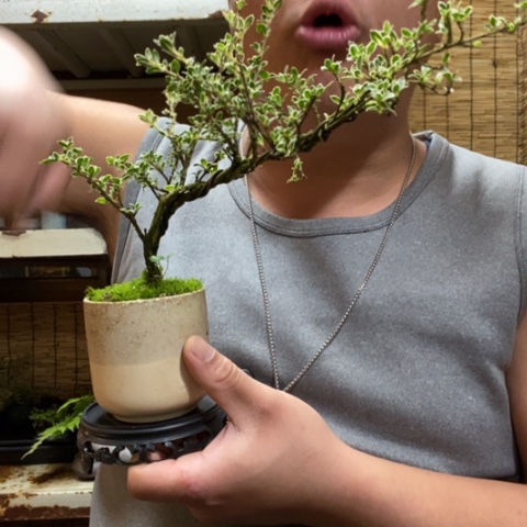 红陶兔*毛一物一拍所见即所得190