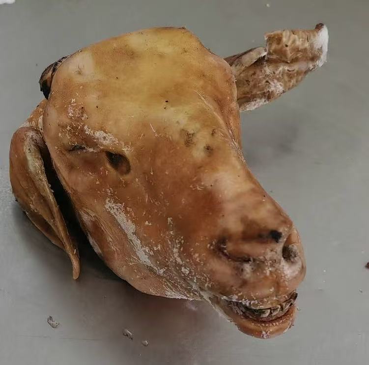 只发新疆，喀什本地火烧羊头羊蹄组合