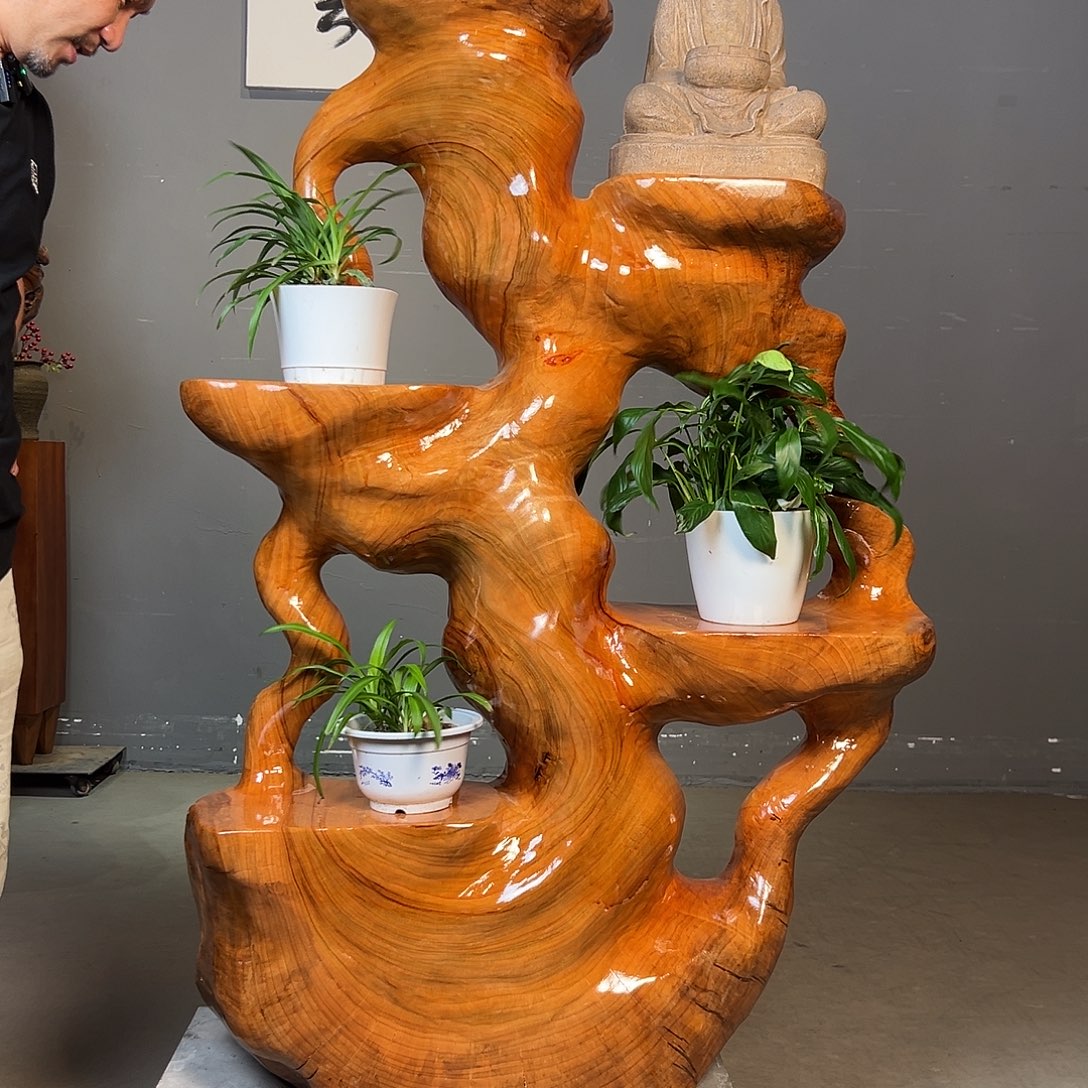 小***珀香樟木整体无拼接
