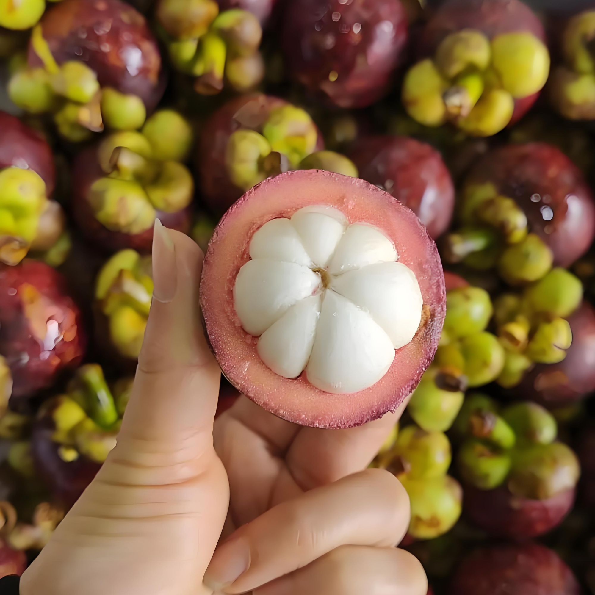 泰国进口山竹 3斤 净果【胖小仓果业】