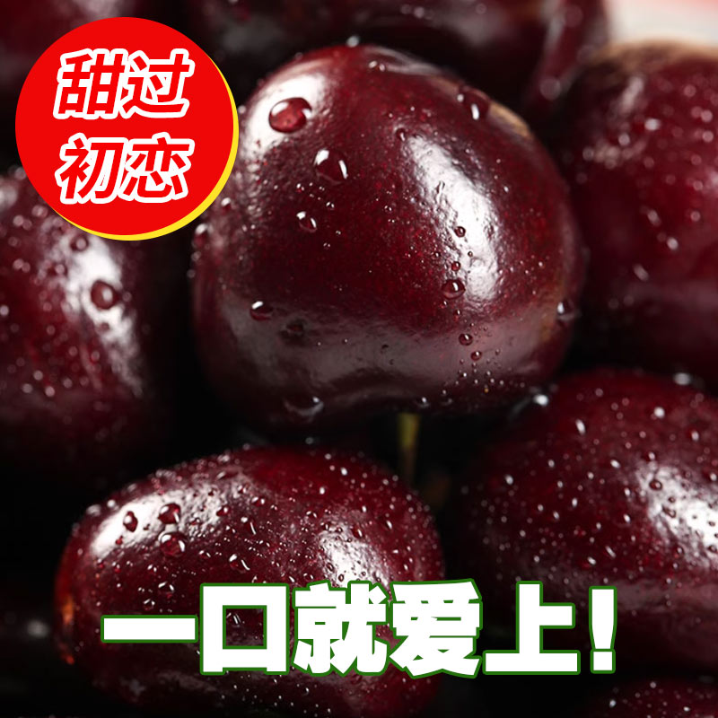 车厘子小蜜蜂海运智利纯冰双J规格5斤脆甜多汁