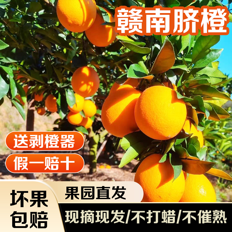 【大梦专属】正宗赣南脐橙当季10斤特大果新鲜孕妇水果现摘赣州直发