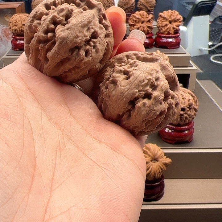 文玩核桃把件40 霸王龙 s-002