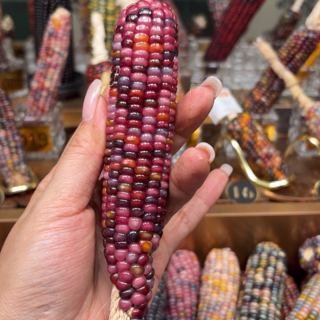 柏香籽/百香籽吊坠米****子