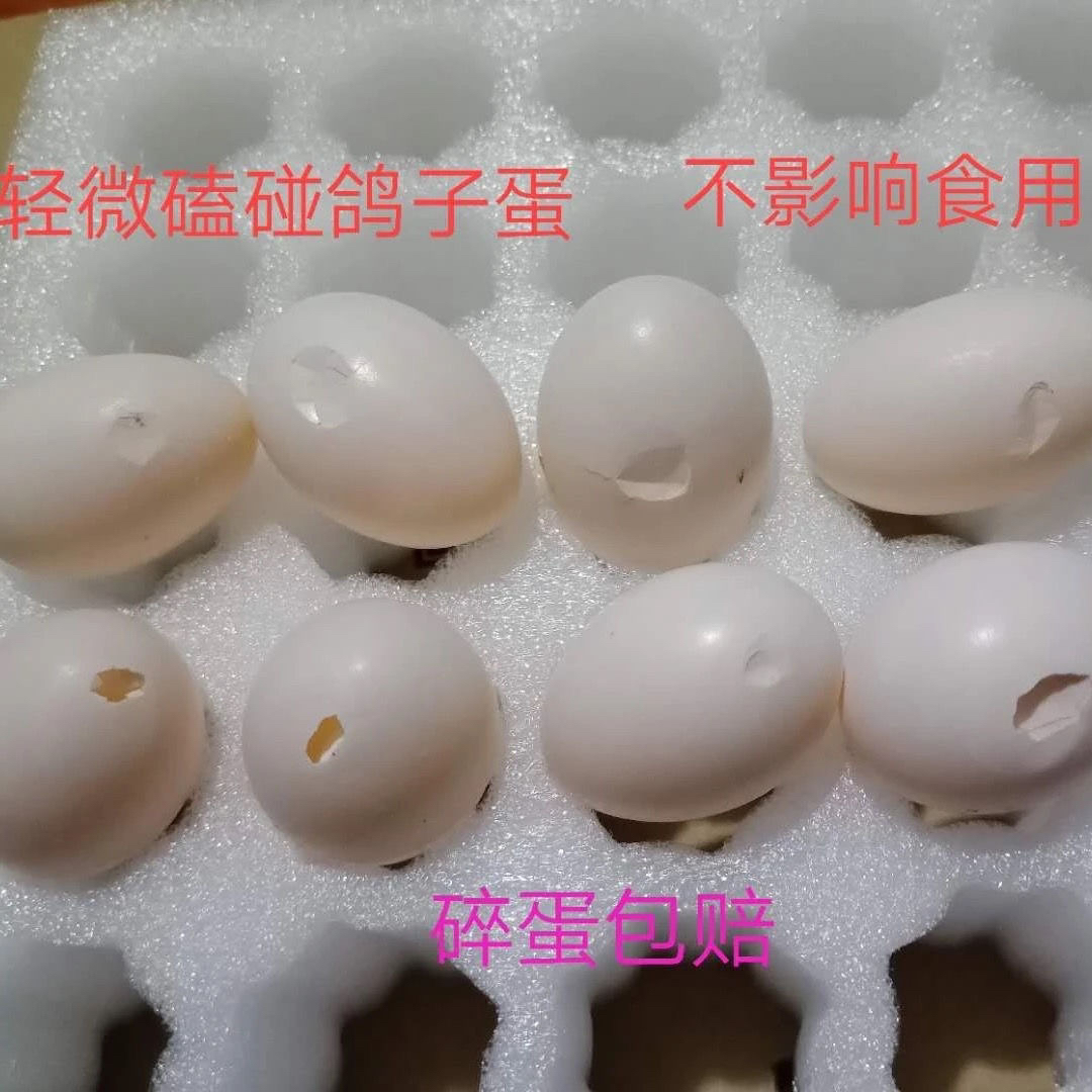 顺丰包邮鸽子蛋新鲜初生蛋信鸽蛋农家杂粮散养孕妇宝宝老人营养
