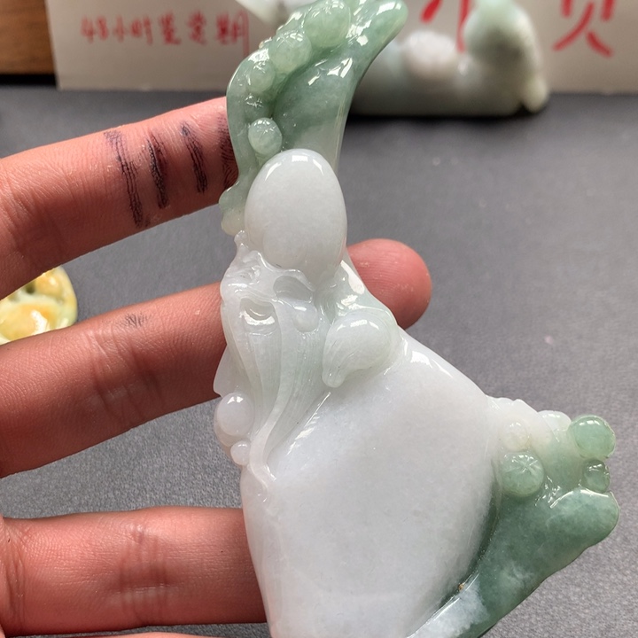 翡翠未镶嵌颈饰保真天然a货翡翠