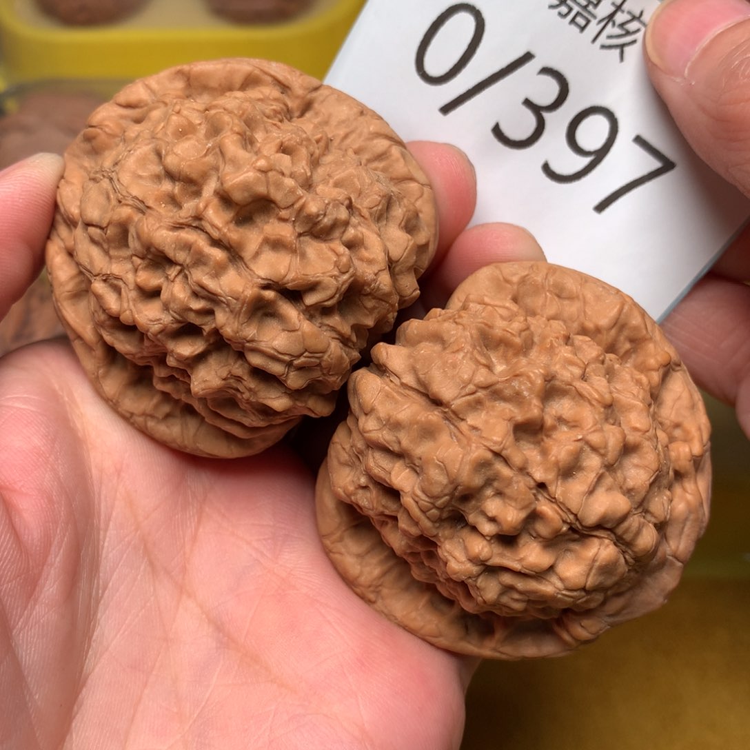 文玩核桃把件毕业肉球龙鼎50