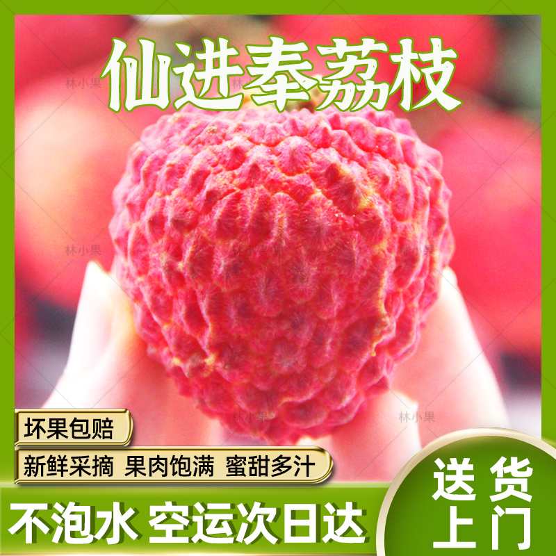 【顺丰次日达】现摘仙进奉荔枝王后广东增城发货现摘新鲜不泡水应季水果整箱1/3/5斤包邮荔枝同城送广东省