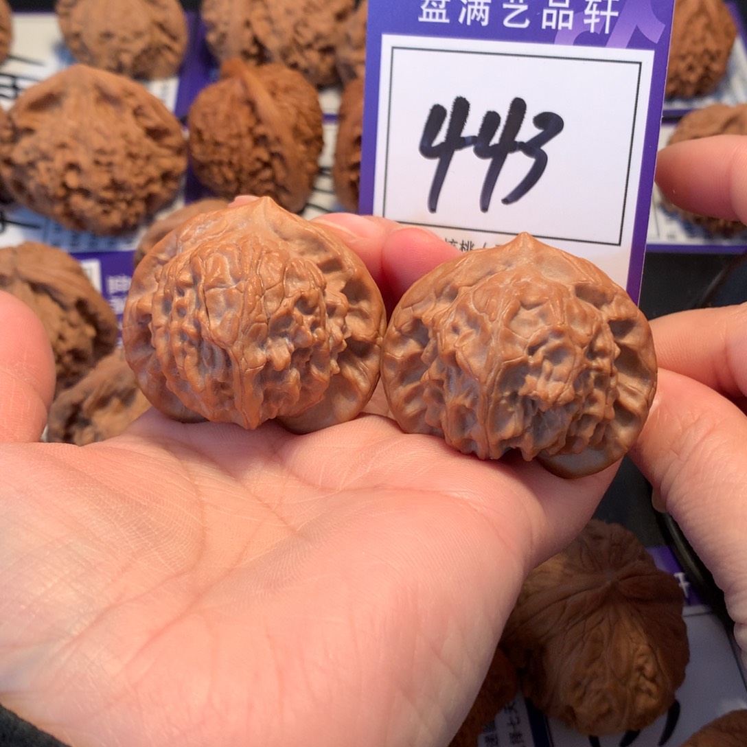 空***儿核桃443图图4.3全品