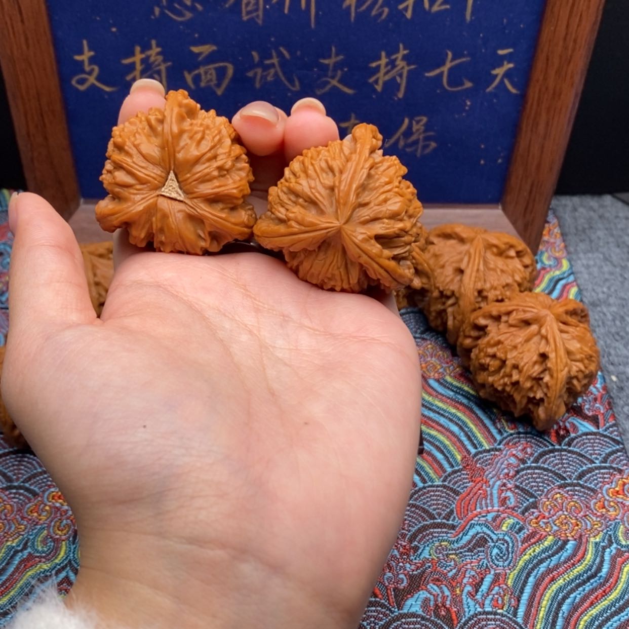 【闪购商品】禅**味白狮