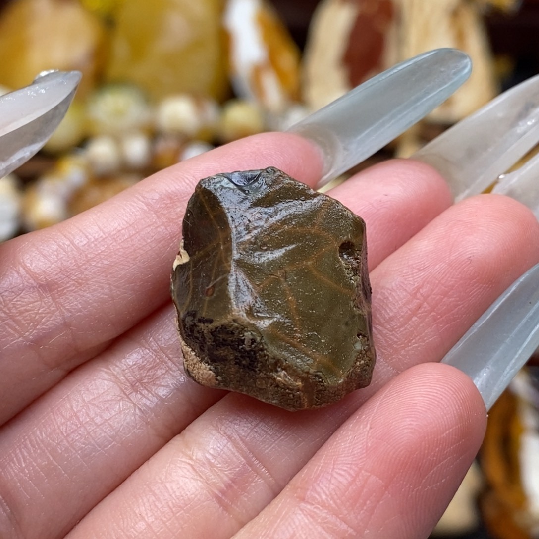 ****拉定制琥珀未镶嵌蜜蜡