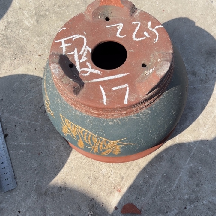 花盆紫砂紫砂的花