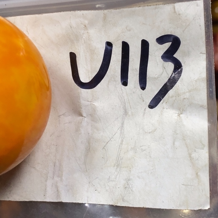 S***e金属德宝文玩专属链接