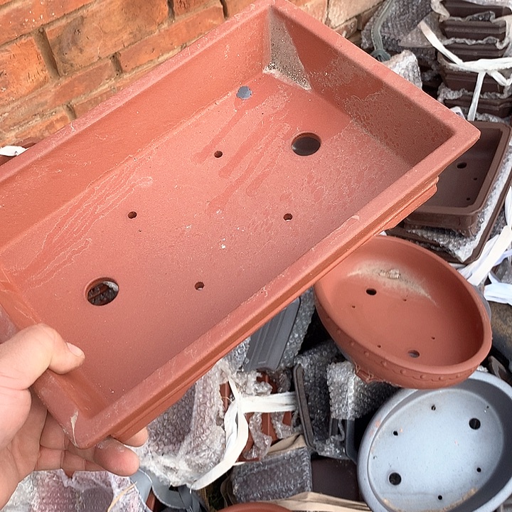 紫砂哈哈真的超级可爱哈哈哈哈哈