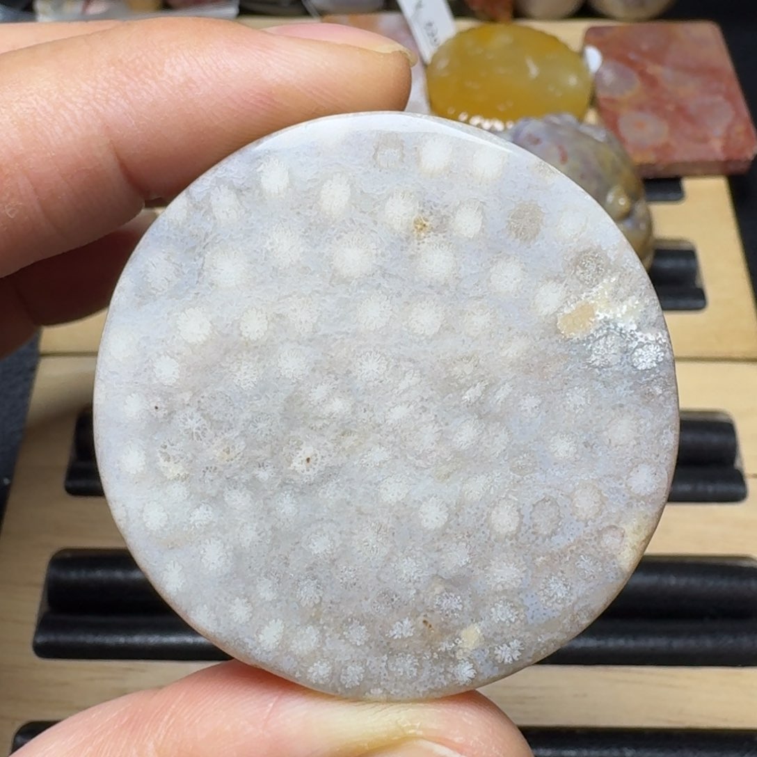 硅化珊瑚（珊瑚玉）纯天然色有机玉石手镯芯未镶嵌