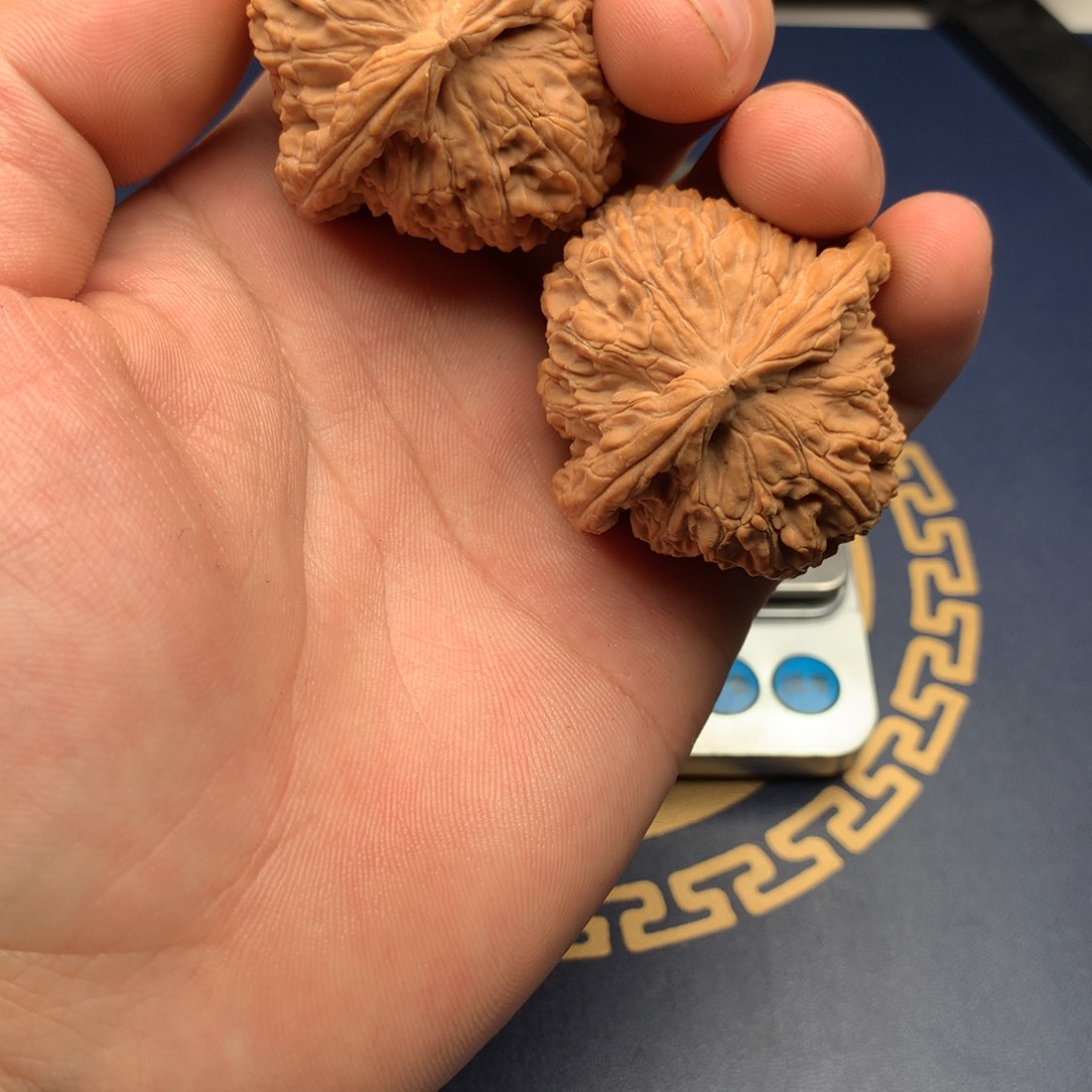 文玩核桃把件白狮子